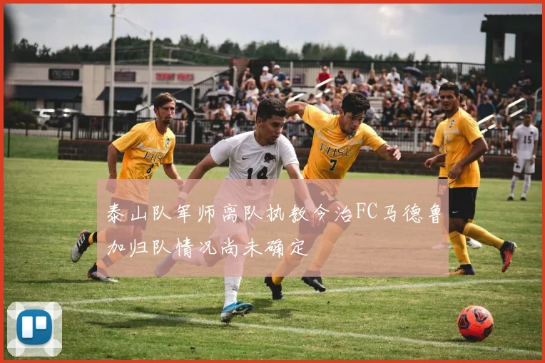 泰山队军师离队执教今治FC马德鲁加归队情况尚未确定